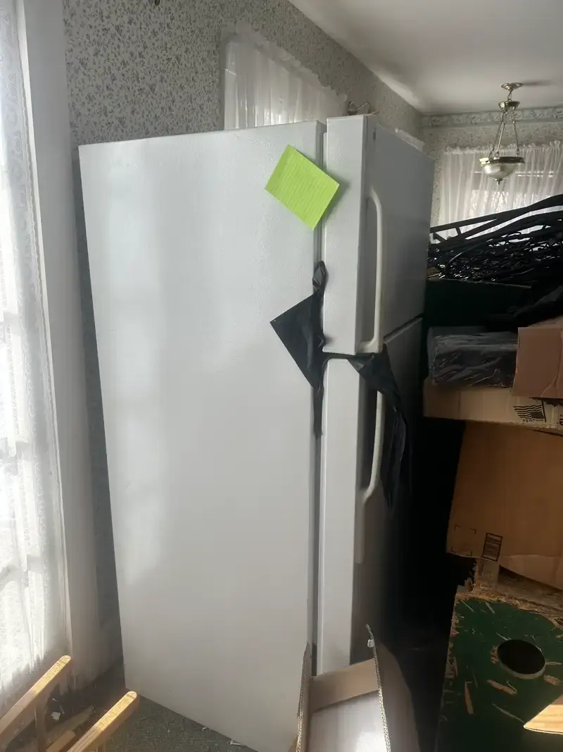 Chest Freezer Removal